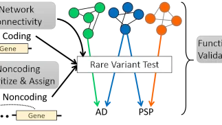 Framework to identify Rare Genetic Risk Variants in Dementia