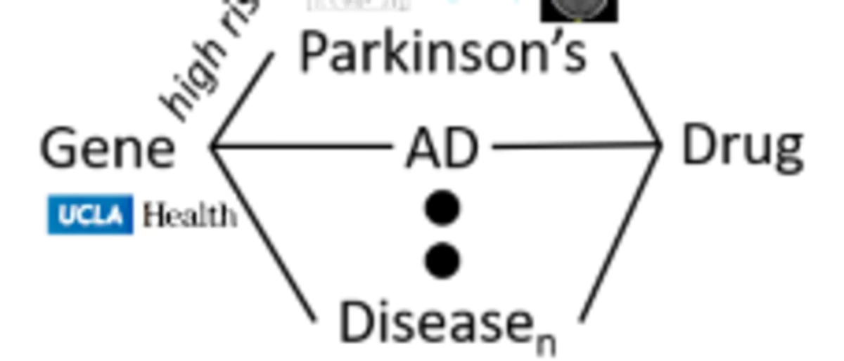 Parkinson Disease framework