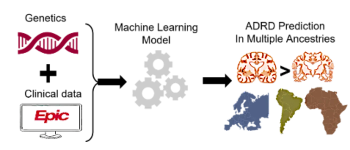 Research frameworks