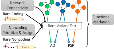 Framework to identify Rare Genetic Risk Variants in Dementia